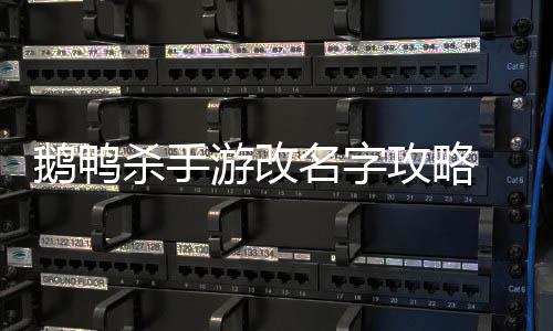 游改鸭杀怎么字名字鹅鸭 鹅攻略改名杀手手游